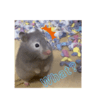 さしゃ（個別スタンプ：3）
