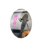 ぴぴぽぽカウ（個別スタンプ：4）