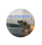 ぴぴぽぽカウ（個別スタンプ：5）
