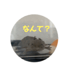 ぴぴぽぽカウ（個別スタンプ：10）