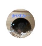 ぴぴぽぽカウ（個別スタンプ：11）