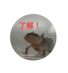 ぴぴぽぽカウ（個別スタンプ：12）