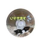 ぴぴぽぽカウ（個別スタンプ：14）