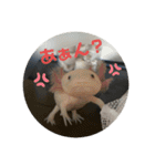 ぴぴぽぽカウ（個別スタンプ：24）