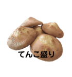 甘食（個別スタンプ：16）