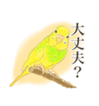黄色と緑のセキセイインコ ミントくん（個別スタンプ：2）