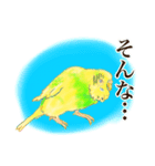 黄色と緑のセキセイインコ ミントくん（個別スタンプ：5）