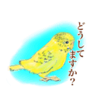 黄色と緑のセキセイインコ ミントくん（個別スタンプ：7）