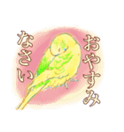 黄色と緑のセキセイインコ ミントくん（個別スタンプ：8）