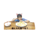 太稀の日常スタンプ（個別スタンプ：3）