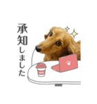 サク詰め（個別スタンプ：1）