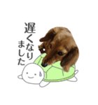 サク詰め（個別スタンプ：4）