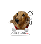 サク詰め（個別スタンプ：5）