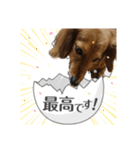 サク詰め（個別スタンプ：6）
