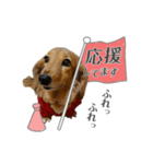 サク詰め（個別スタンプ：7）