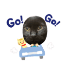 まる #2（個別スタンプ：1）