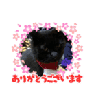まる #2（個別スタンプ：6）