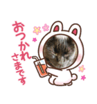 まる #2（個別スタンプ：14）