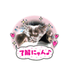 まる #2（個別スタンプ：16）