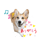 ふくぼん丸（個別スタンプ：2）