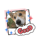 ふくぼん丸（個別スタンプ：3）