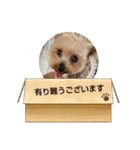 ポッケ＆ききょうNO3（個別スタンプ：6）