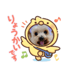 ポッケ＆ききょうNO3（個別スタンプ：12）