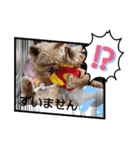 ポッケ＆ききょうNO3（個別スタンプ：26）