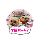 ポッケ＆ききょうNO3（個別スタンプ：37）