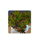 多肉植物とお花の大人可愛いスタンプ（個別スタンプ：3）