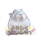 うさぎのぶんぶん（個別スタンプ：4）