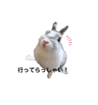 うさぎのぶんぶん（個別スタンプ：7）