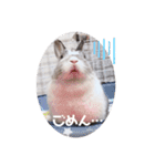 うさぎのぶんぶん（個別スタンプ：8）