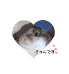 うさぎのぶんぶん（個別スタンプ：13）