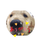 BOSS君とNICOちゃん時々かんな（個別スタンプ：14）