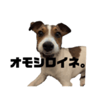 AVIHですぅ。（個別スタンプ：13）
