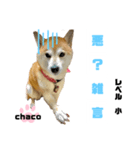 四字熟語のお勉強（個別スタンプ：2）