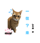 四字熟語のお勉強（個別スタンプ：9）