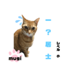 四字熟語のお勉強（個別スタンプ：10）