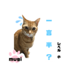 四字熟語のお勉強（個別スタンプ：12）