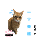 四字熟語のお勉強（個別スタンプ：14）