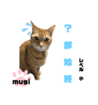 四字熟語のお勉強（個別スタンプ：15）