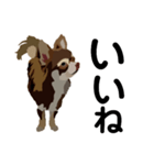 犬のモカちゃんスタンプ（個別スタンプ：4）