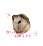 ふうちゃんスタンプ第一弾（個別スタンプ：5）