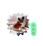 maron,（個別スタンプ：5）