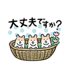 ねこひち＃あいさつ（個別スタンプ：27）