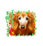 wishだよ☺️（個別スタンプ：14）