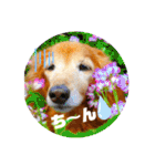 wishだよ☺️（個別スタンプ：25）