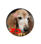 wishだよ☺️（個別スタンプ：34）
