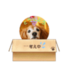 wishだよ☺️（個別スタンプ：38）